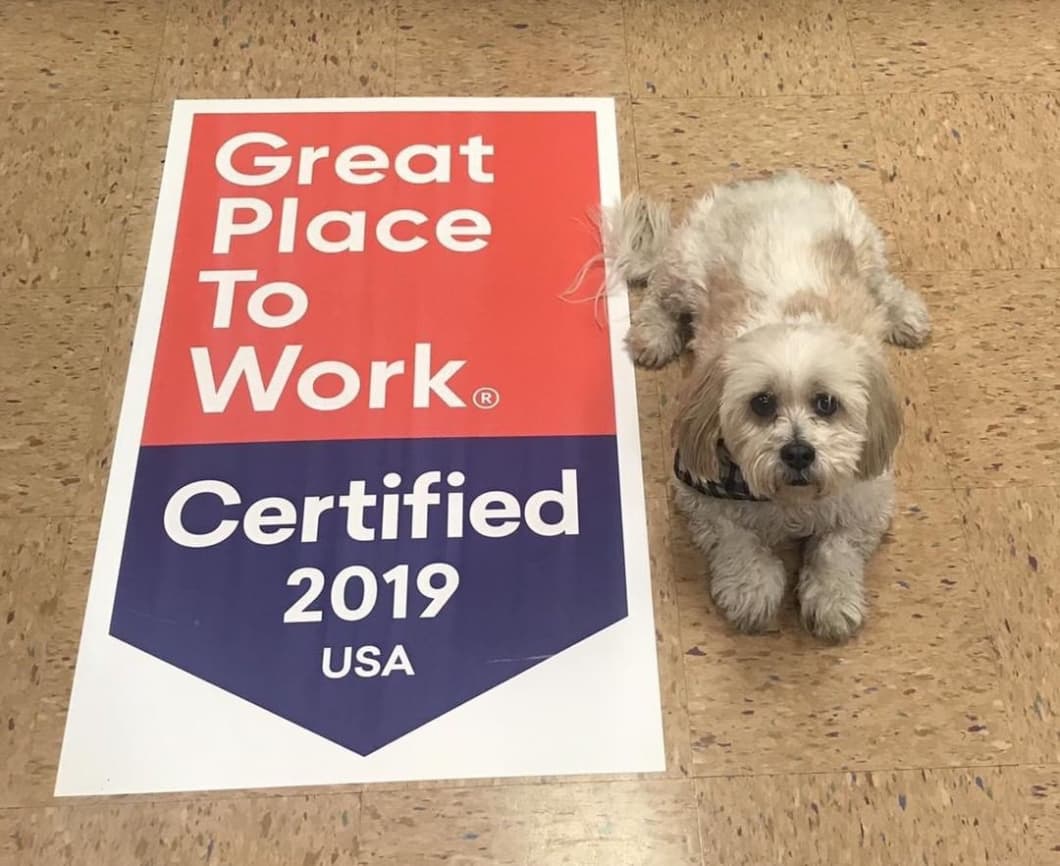  Five Places to Share Your Great Place To Work-Certified™ Company Badge