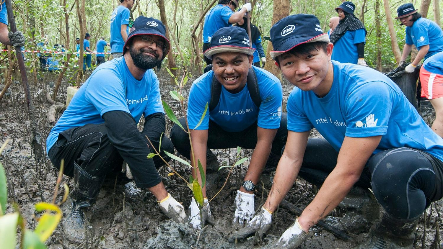 Intel employees planting trees during a volunteer opportunity.