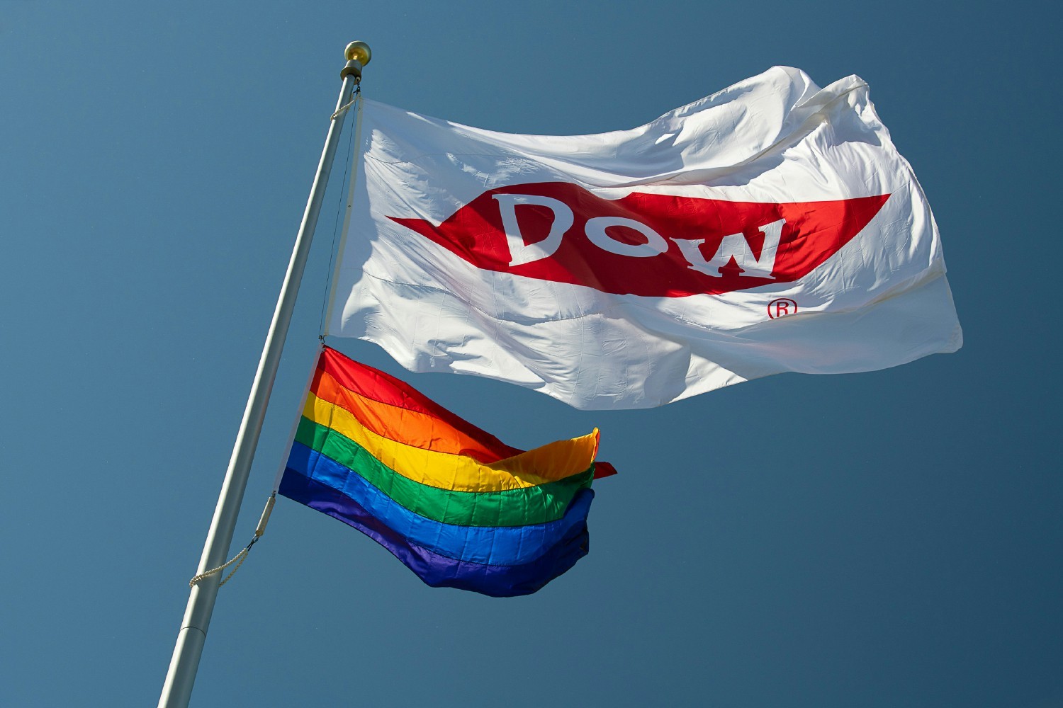 The Pride flag flies at many Dow locations around the world each June.