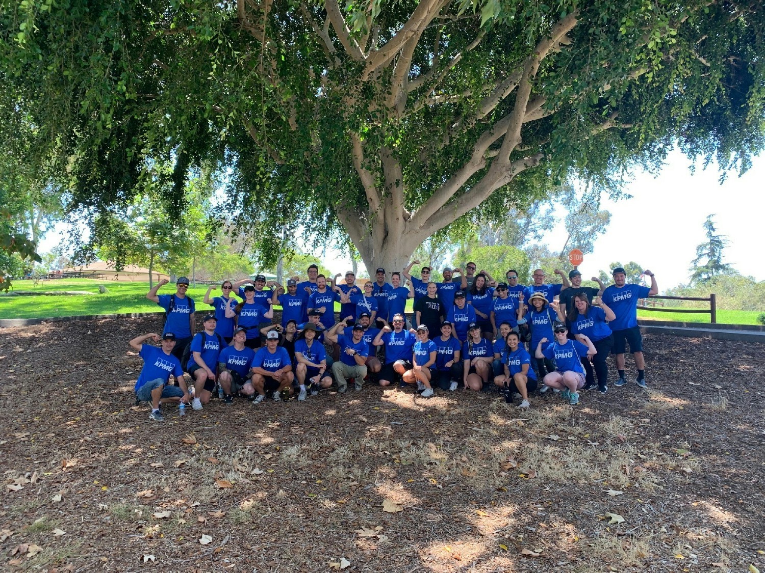 KPMGers in San Diego volunteered to clean up and beautify San Dieguito County Park during KPMG's Community Impact Day. 