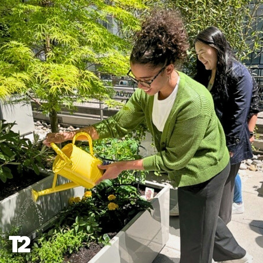 Our teams have planted and look after a community garden at our headquarters in New York City.
