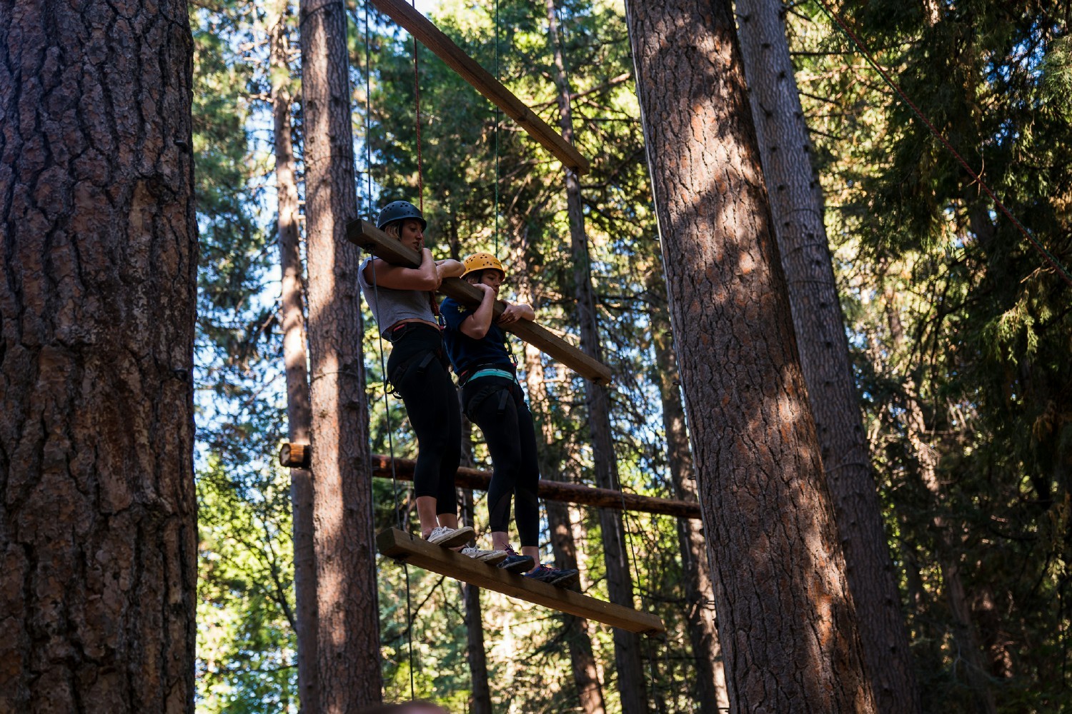 Vertical obstacle course at the company retreat 2019