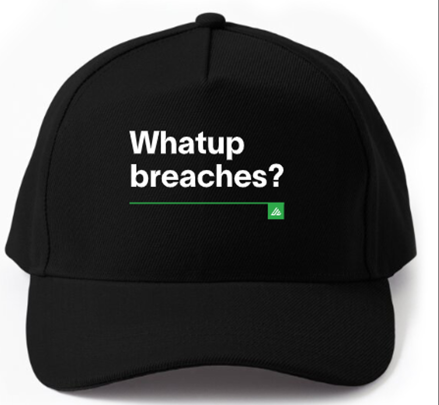 A #SiezetheBreach campaign that lives on .. on our hats, t-shirts and other thoughtful swag. 