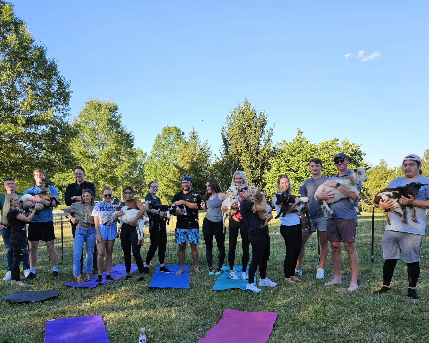 The Lexington office participating in goat yoga as a  team building activity.