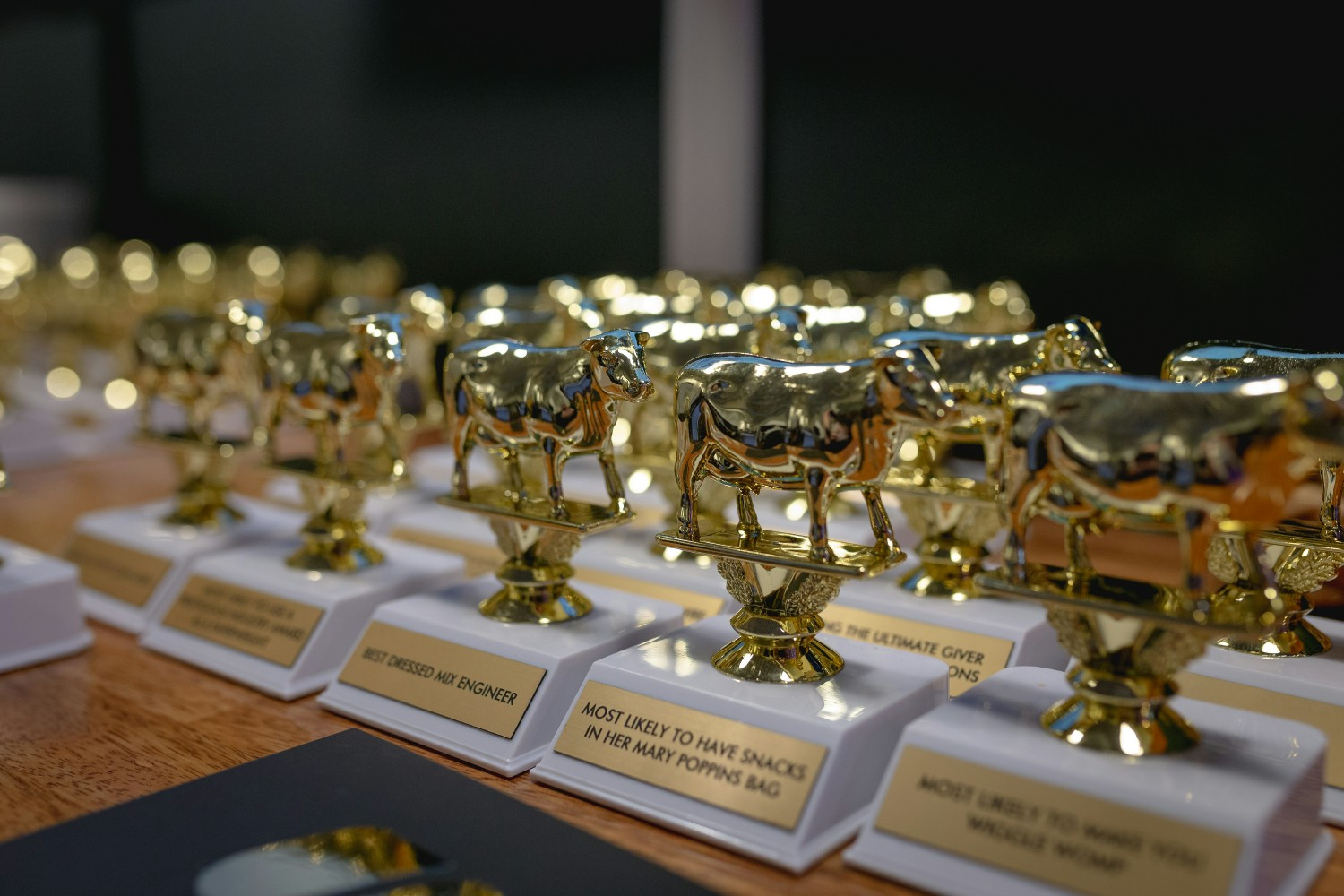 Soundstripe employee recognition awards