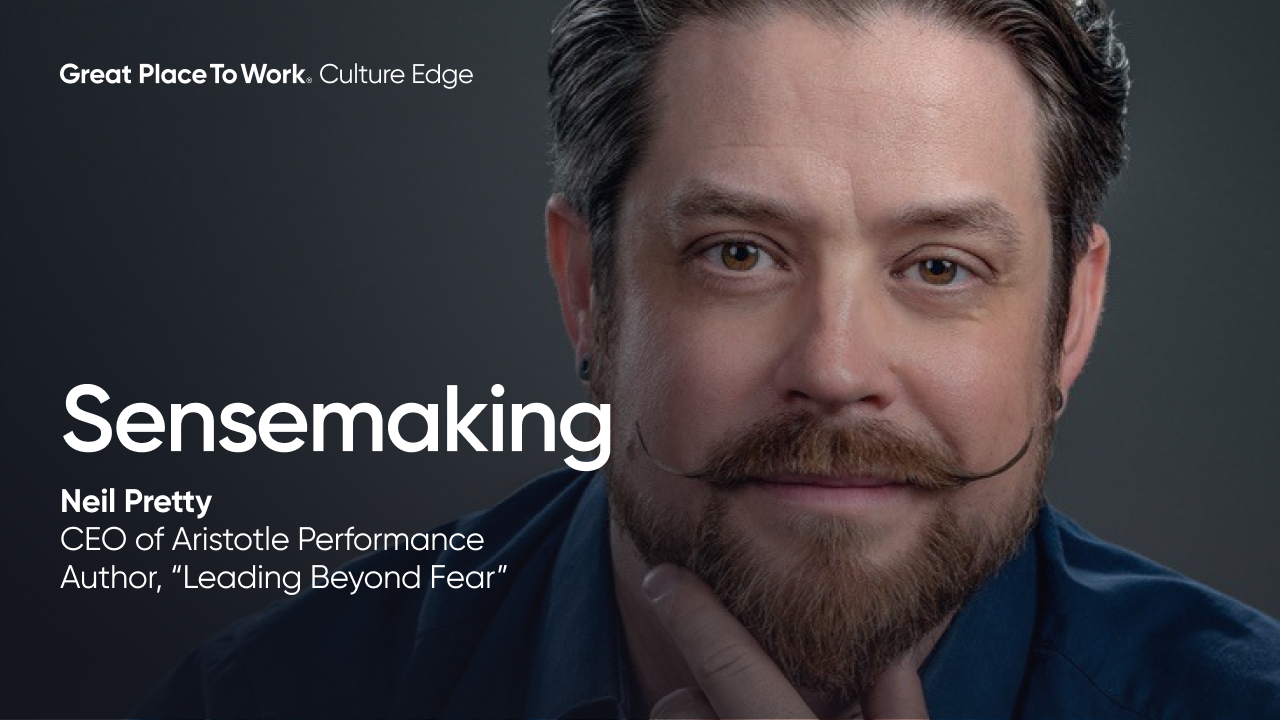 NeilPretty Sensemaking 2