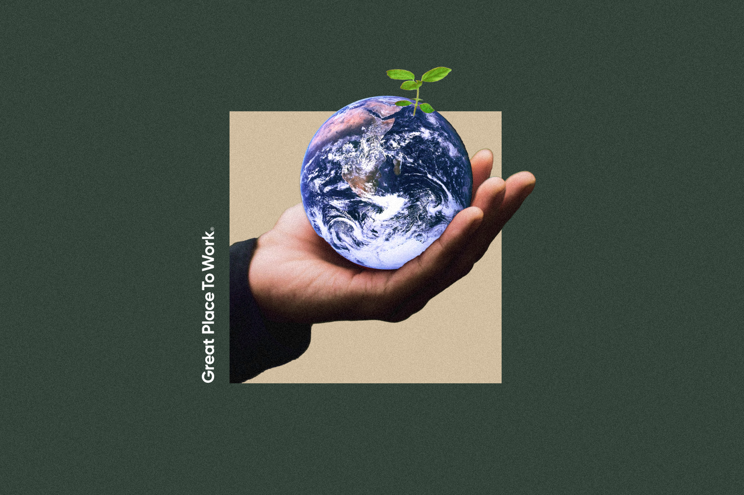  The planet earth in a human hand