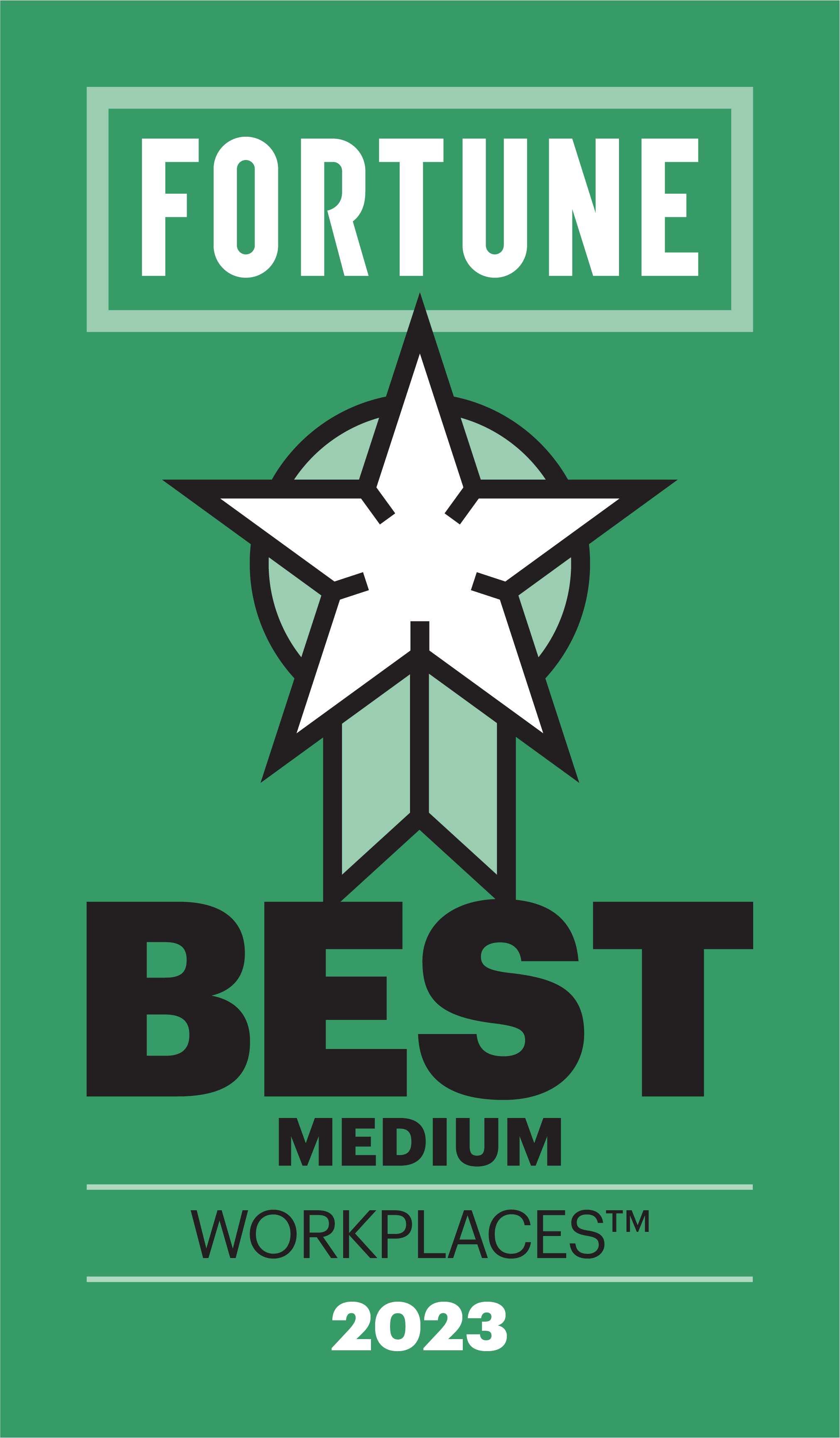 Best Medium Workplaces™