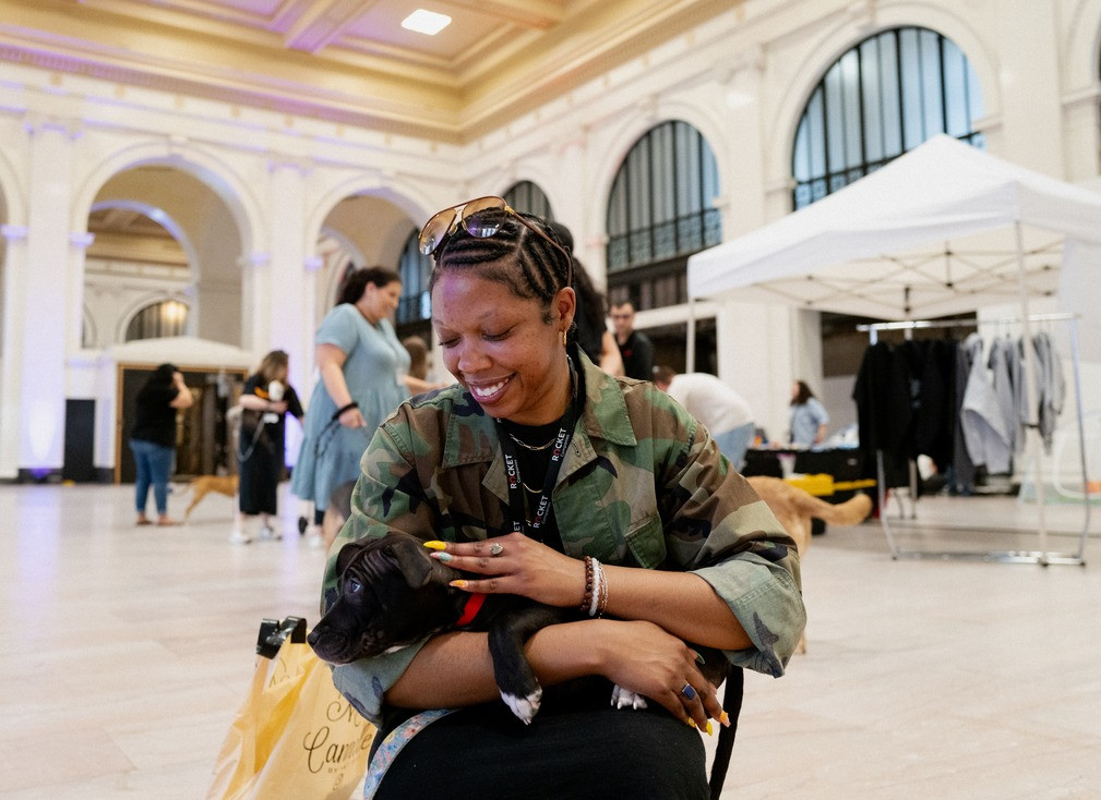Rocket partners with local shelters to host office adoption events, helping furry friends find their forever homes