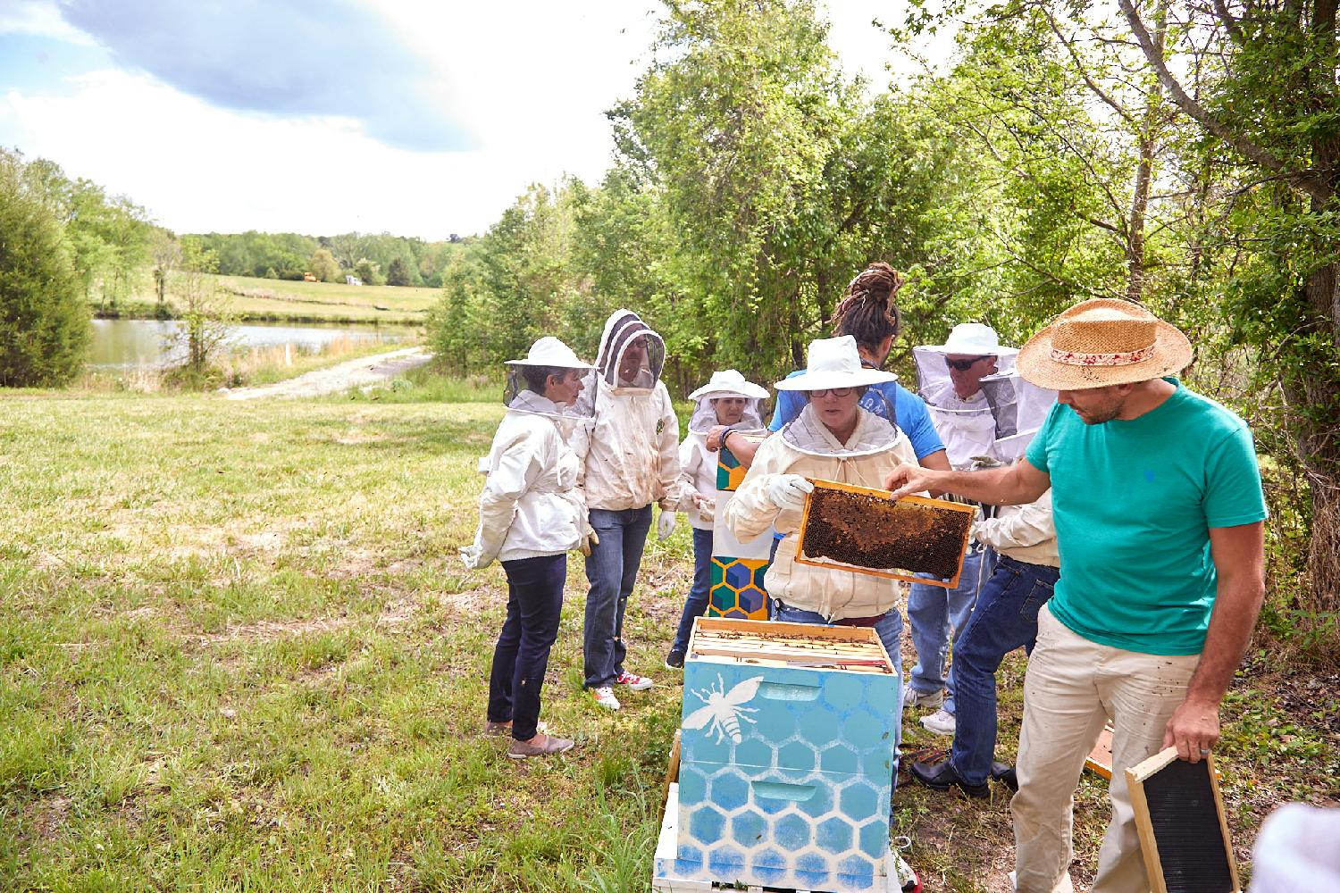 SAS prioritizes sustainability initiatives like solar farms, free electric vehicle charging stations & office beehives.