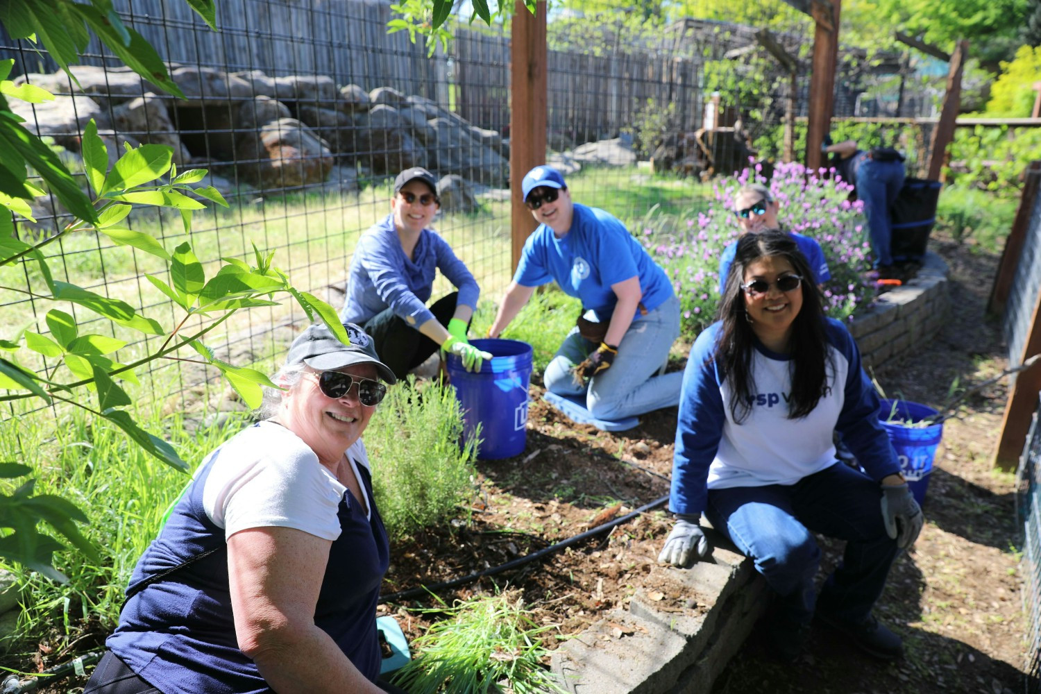 VSP EMPLOYEES VOLUNTEER AT FOLSOM ZOO SANCTUARY TO HELP BEAUTIFY THE GROUNDS.
