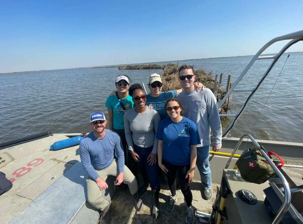 Sustainability in action: Our coastal team helps repurpose Christmas trees to protect Louisiana shorelines from erosion.