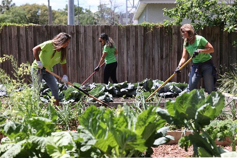 GROW TEAM MEMBERS VOLUNTEER AT SULPHUR SPRINGS COMMUNITY GARDEN