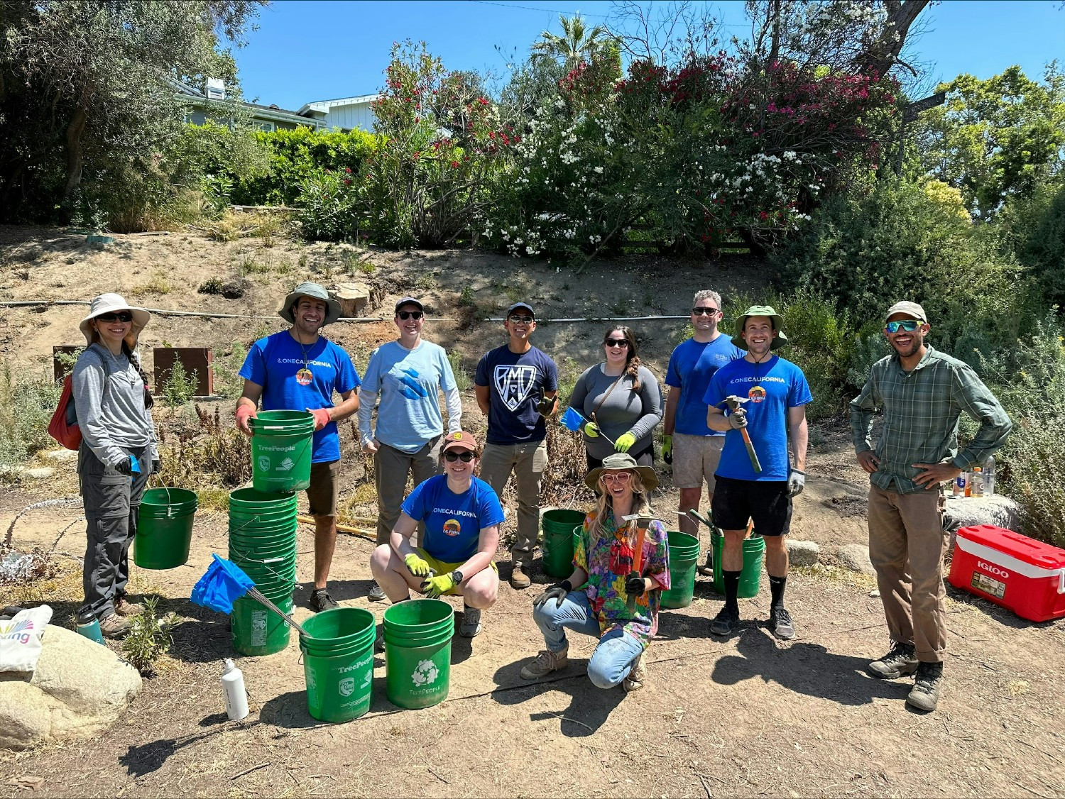 Volunteering!