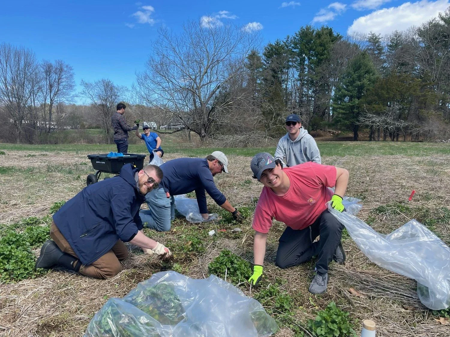 2024 Week of Service Volunteer Activity