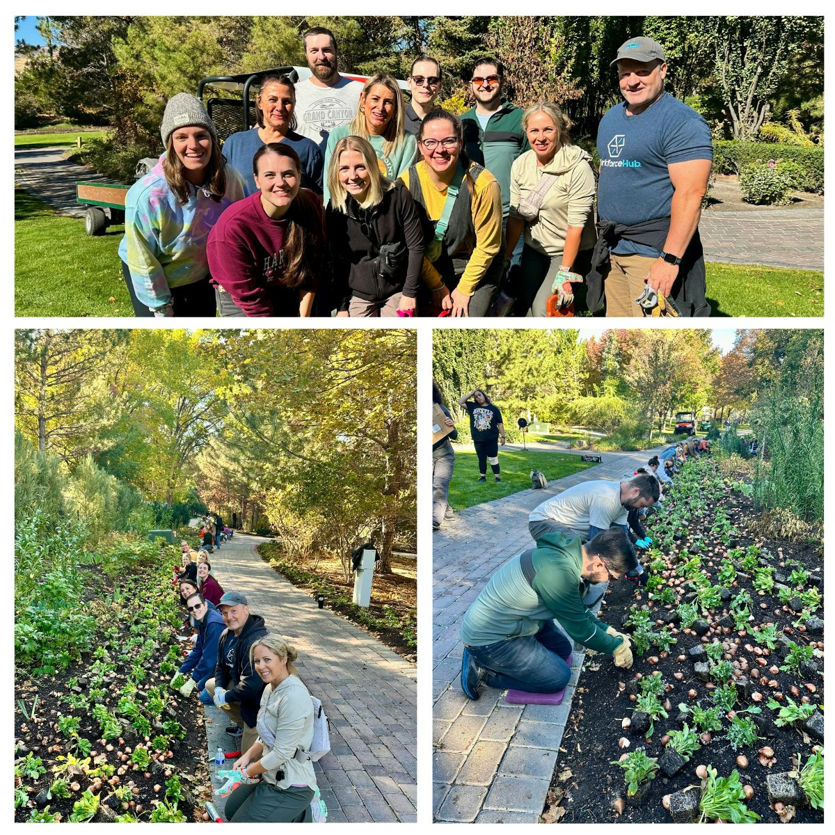 IRISians in Utah using a Giving Back Day to volunteer at Thanksgiving Point