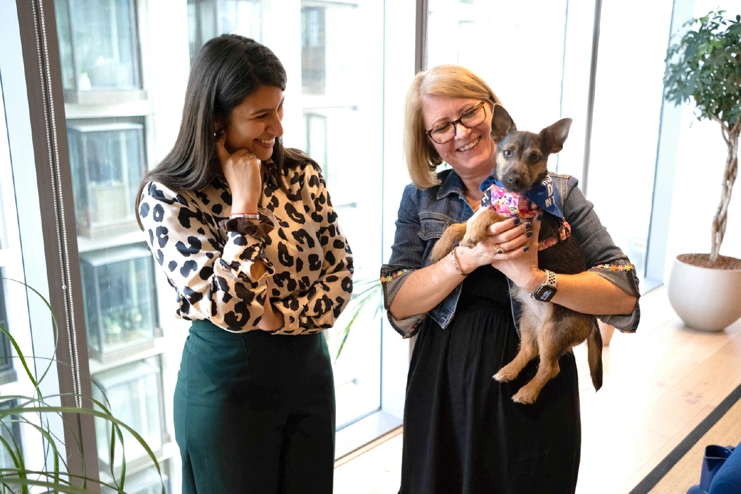 Paws and productivity - our offices welcome four-legged friends. 