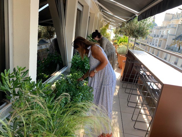 Members of our Paris team picking herbs from our office terrace