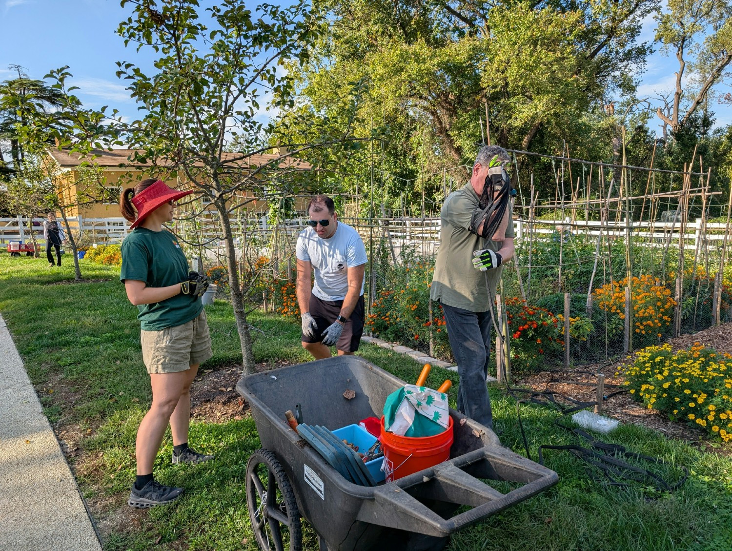 US colleagues volunteered at the Arlington House Kitchen Garden, where all the produce grown goes to local food banks