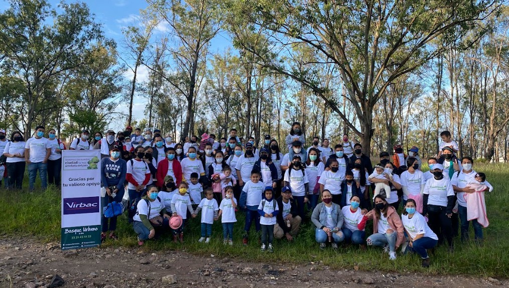 Forest reforestation project with the participation of over 50 employees
