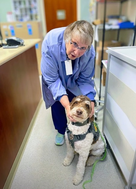 A co-worker pets a Parkview Pup, one of several certified therapy dogs who visit co-workers inside facilities.