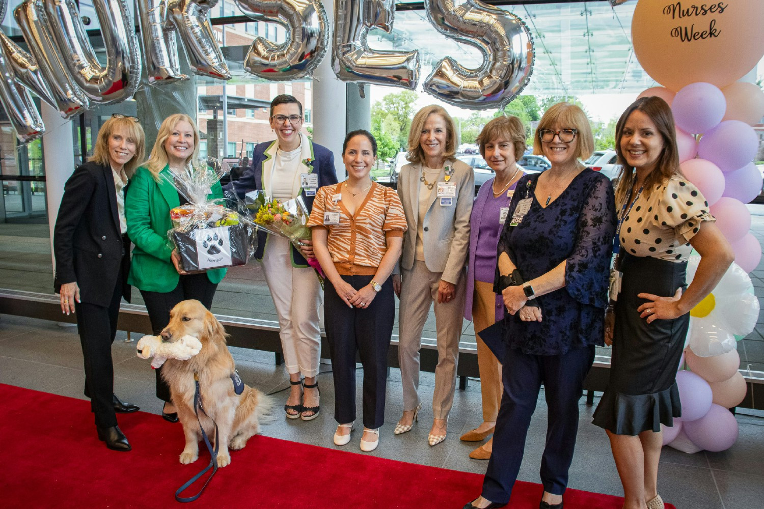 Stamford Health’s resident therapy dog, Harrison, has had a pawsitive impact on both employees and patients.