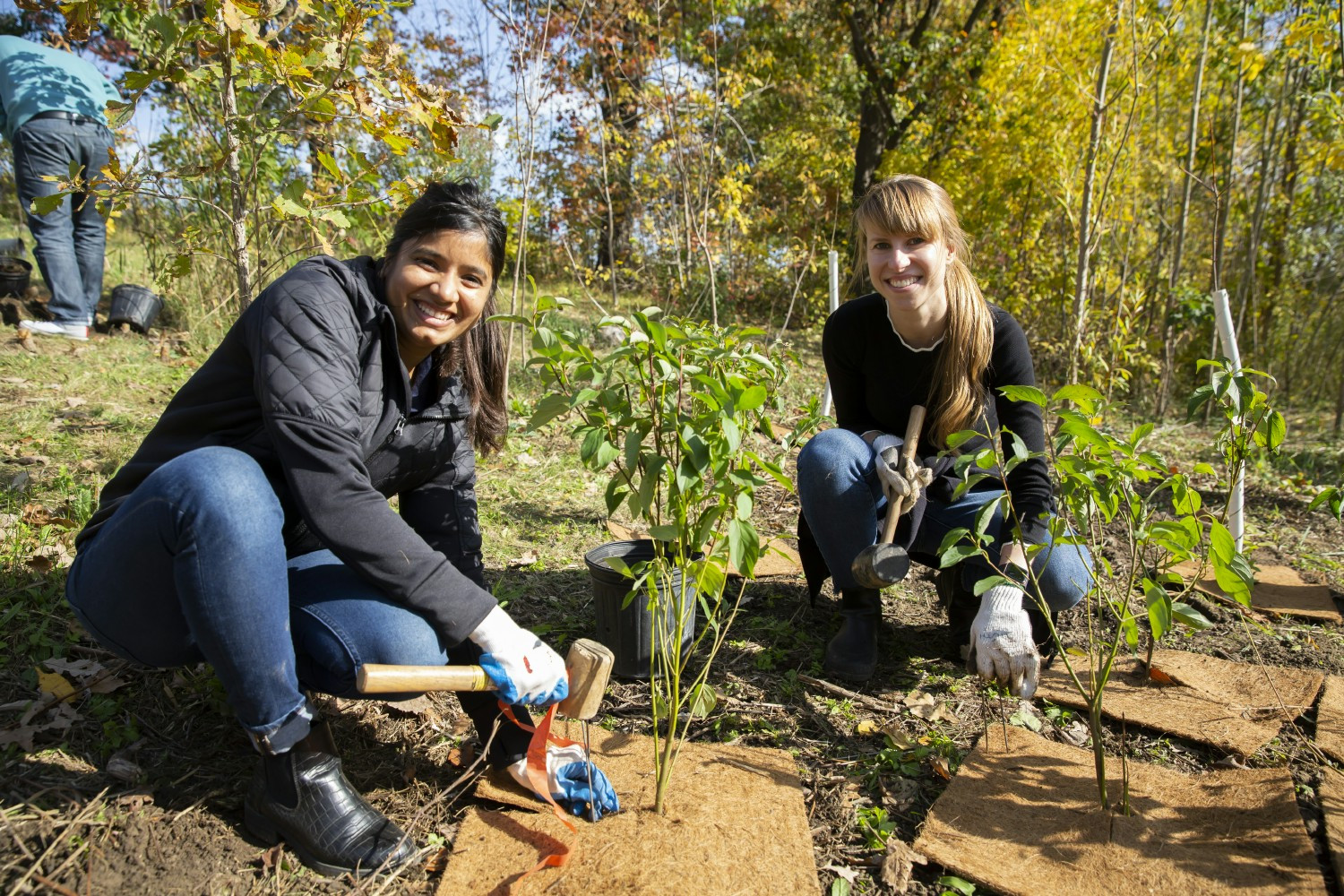 During TD Tree Days, volunteers build healthier communities by planting trees & shrubs in urban and rural greenspaces.
