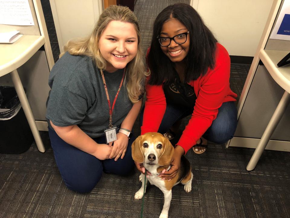 Echo, PBD's pet therapy dog visits employees