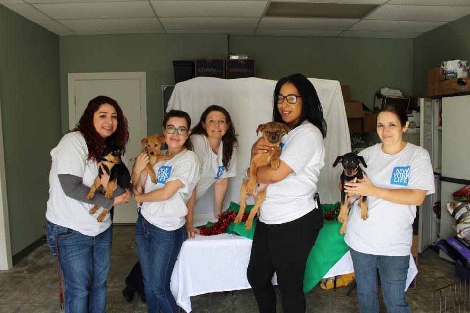 San Antonio GO; Pet Shelter Volunteers