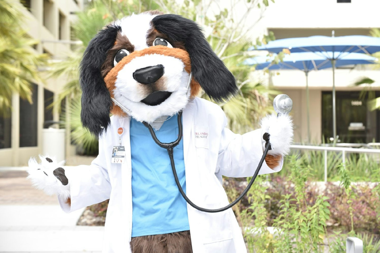 Our hospital mascot- Scrubs! 