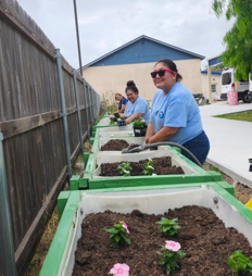 Community spirit is in full bloom in Brownsville, TX as  volunteers work together to plant vibrant flowers.