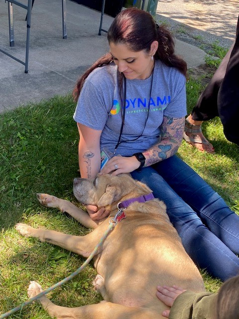Jen sits with Otis during our Pet Adoption Event! Team members were able to meet available dogs from a local shelter.