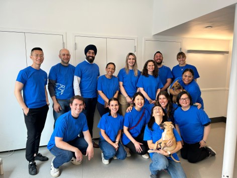 Employees volunteer together at an animal shelter as part of Moody’s TeamUp® (annual volunteering month).
