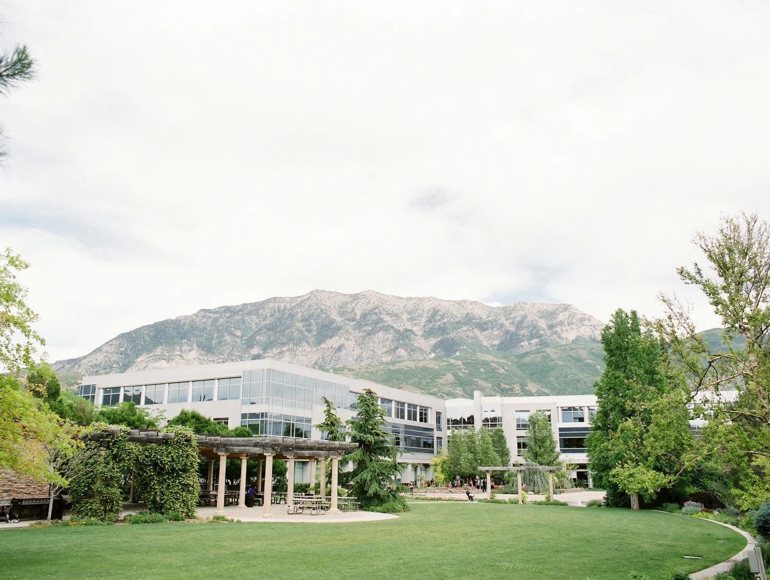 A look at our Provo HQ gardens!