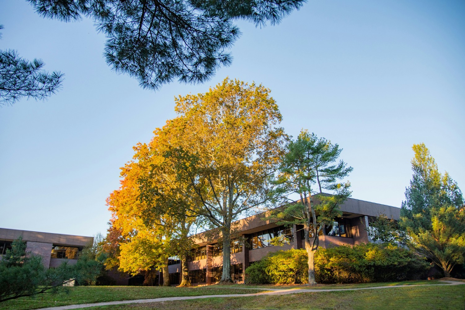 Our campus in Westport, Connecticut