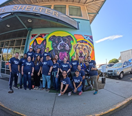 2024 Transformation Team winners volunteering at an animal shelter in Tacoma, WA.