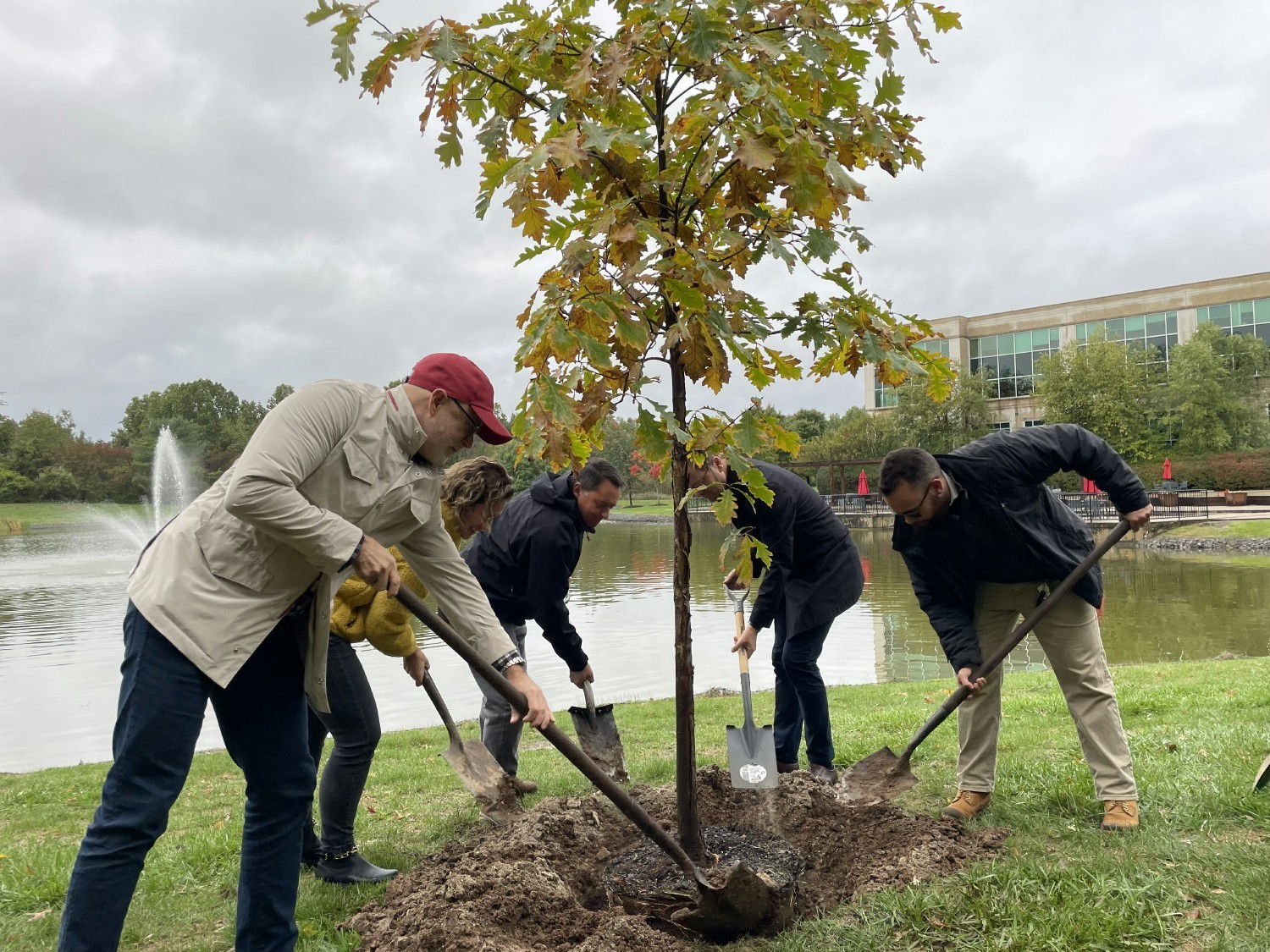 Making a difference, planting a tree at our Head Office as part of Trees for Our Planet Reforestation Project.