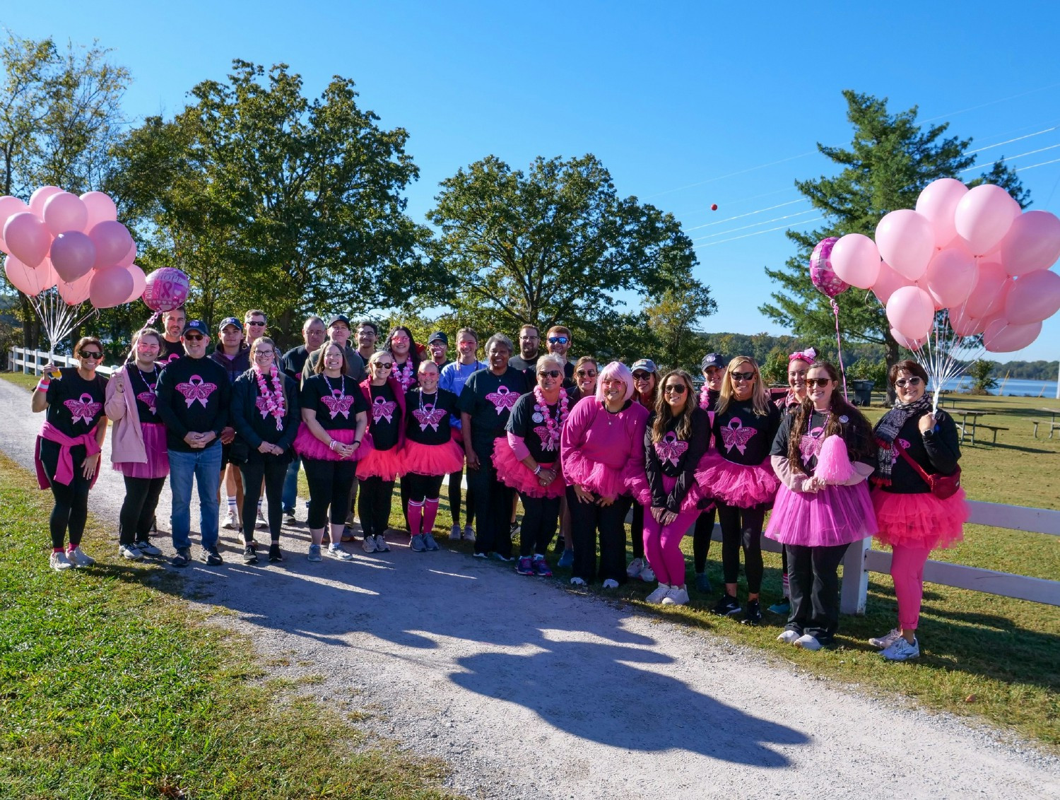 Annual Breast Cancer Walk