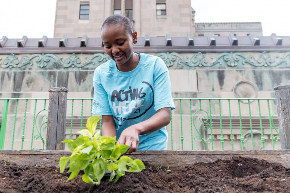 Accor employee planting herbs at one of our hotel rooftop garden's as part of our Planet 21 - Acting Here sustainablity platform.