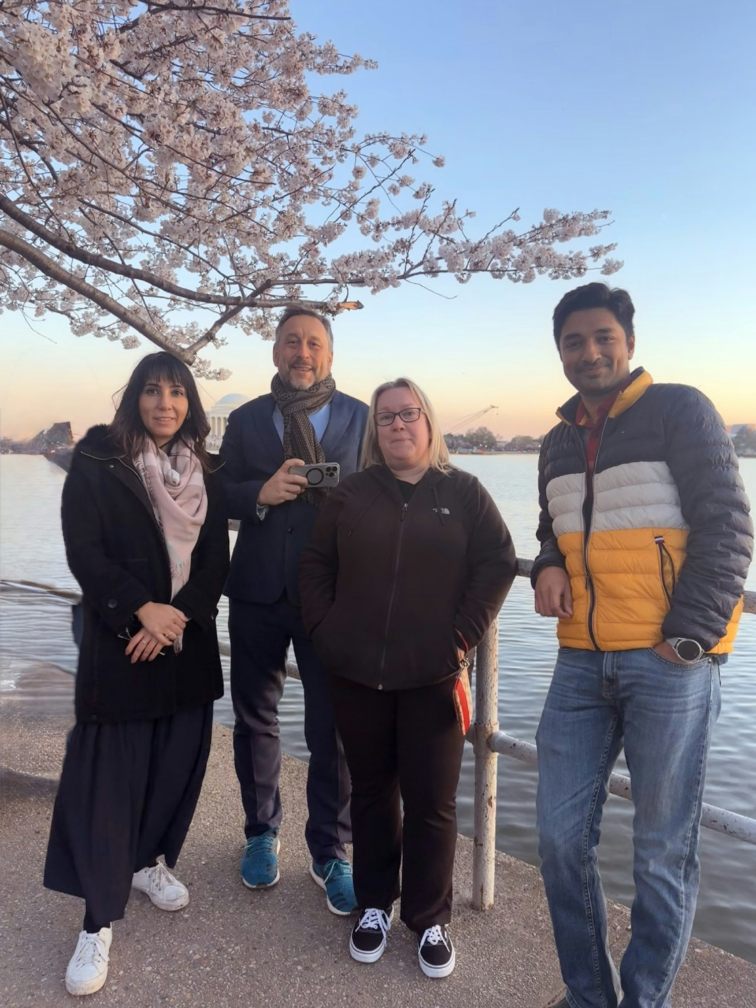 Team project for cherry blossom