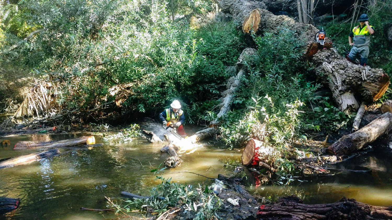 Valley Water’s field crews clearing debris as part of the Stream Maintenance Program to reduce flood risk.