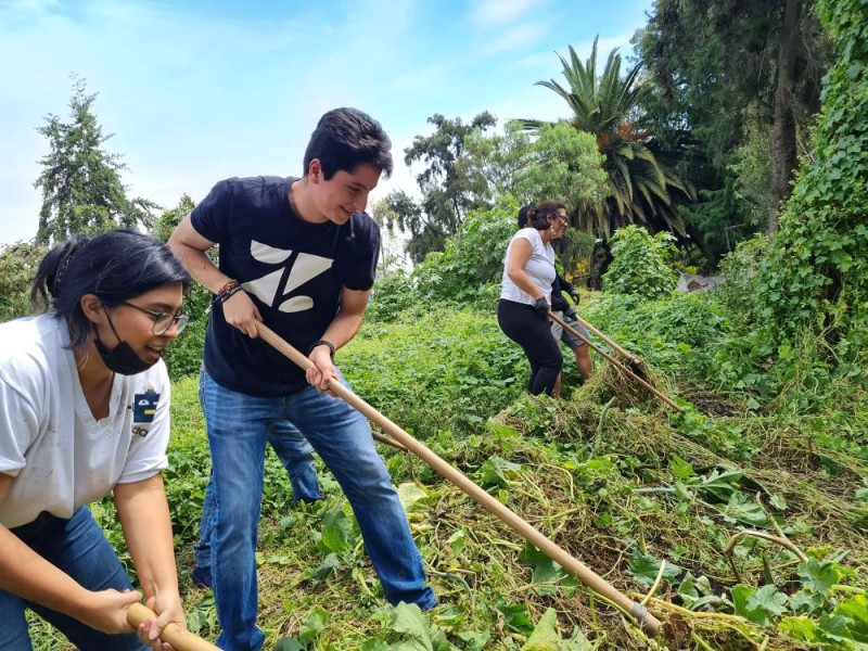 Zendesk team members volunteering with local community partners to support our global impact efforts