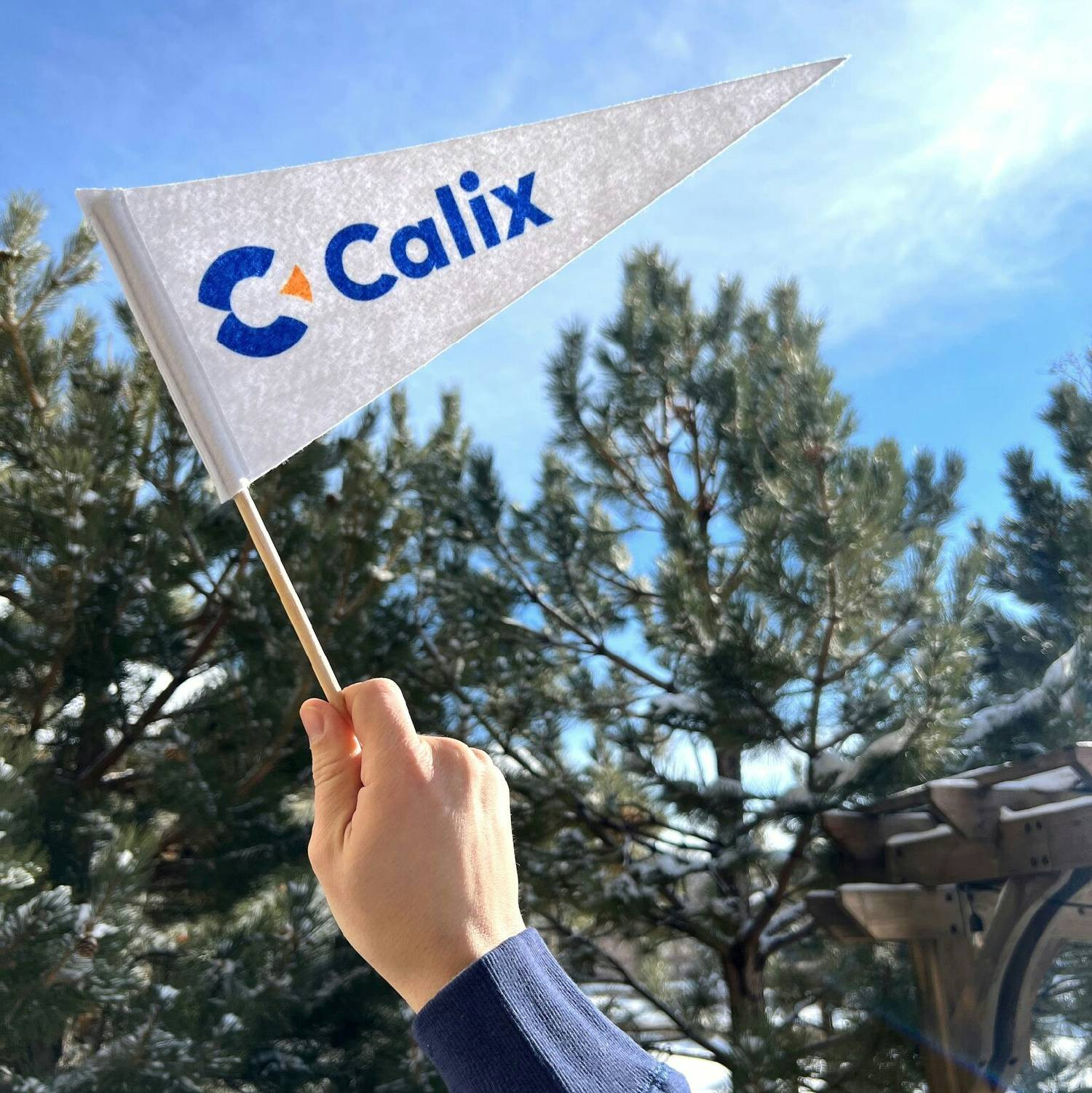 Calix Photo