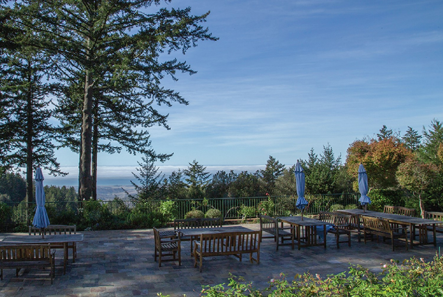 A view from Woodside, CA office