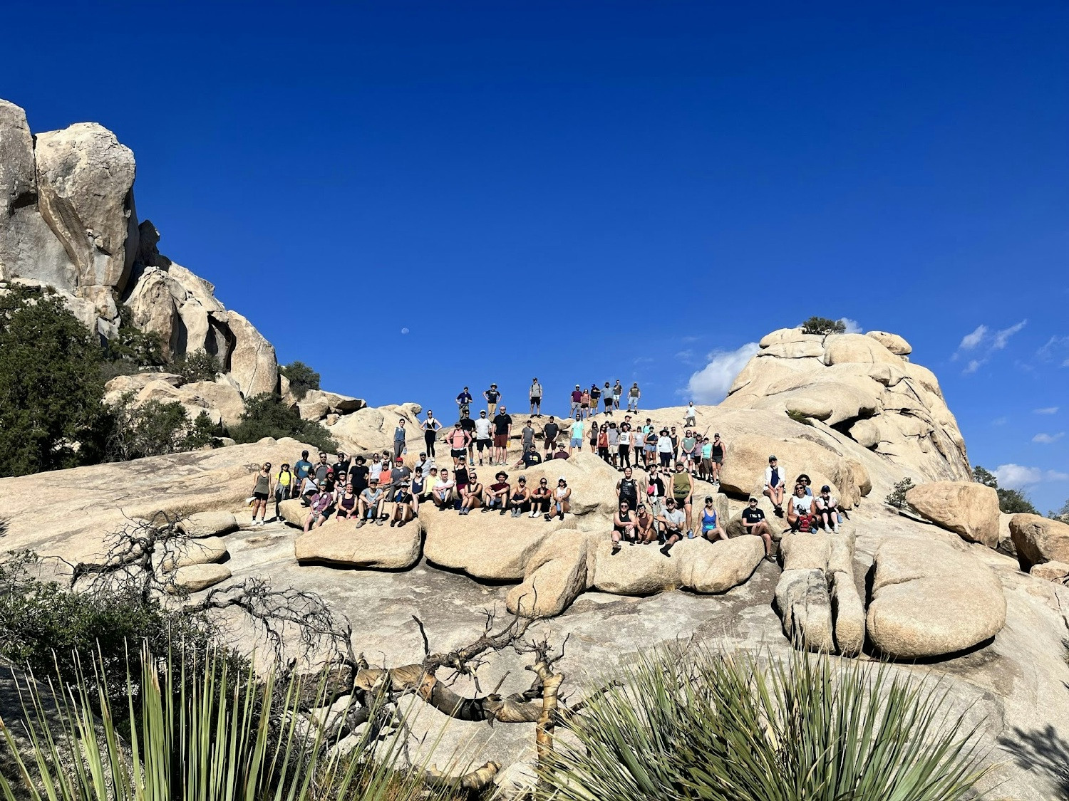 Members of the YNAB team hiking in Joshua Tree National Park.