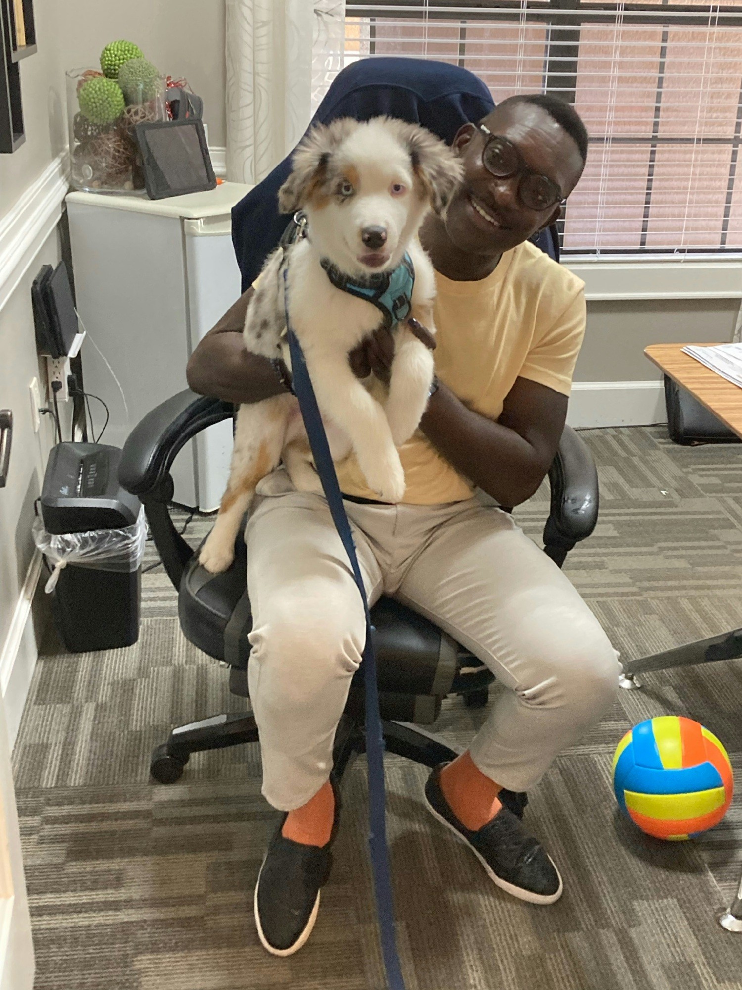 Our teams love bringing their furry friends into the office to enjoy a little extra company and a lot of extra love.