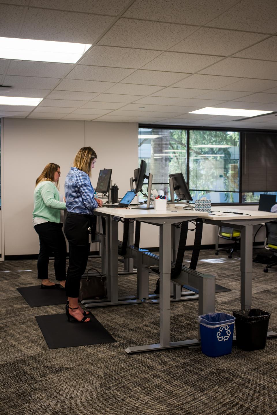 Working at the standing desks