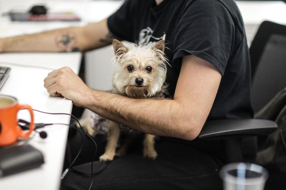 Four-legged Fridays provide our employees fur time during work hours