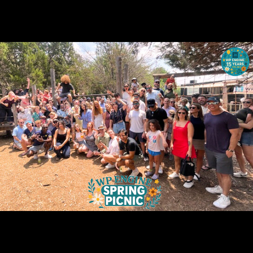 Employees gather in Austin for our Spring picnic