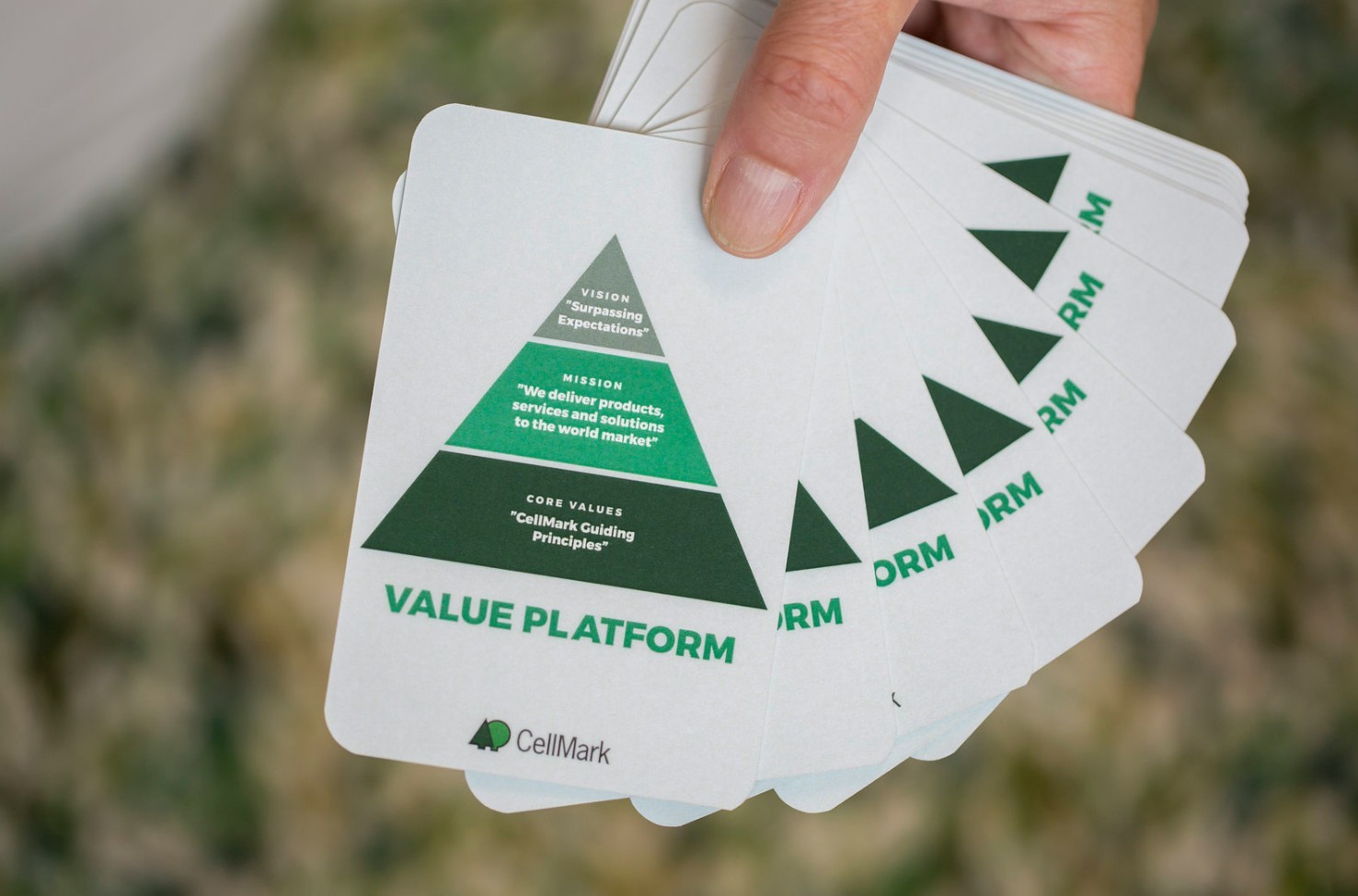 CellMark Guiding Principles Value Platform